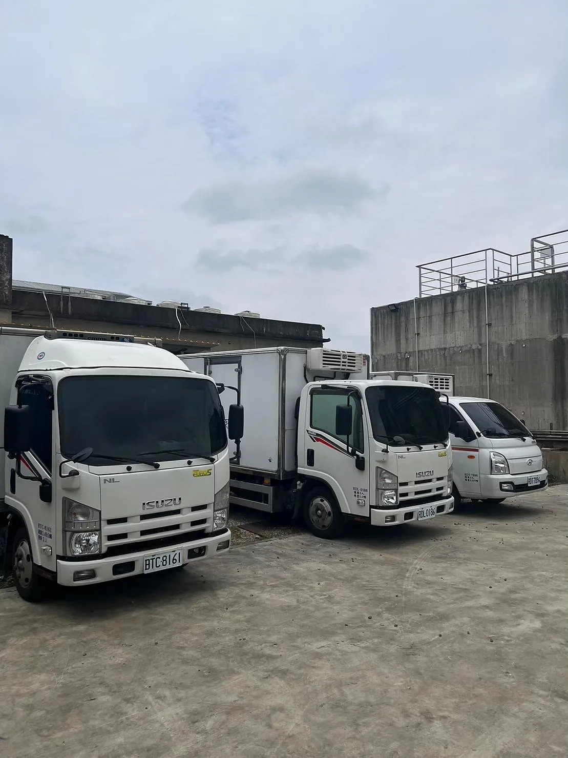 Island-wide Chain Supply