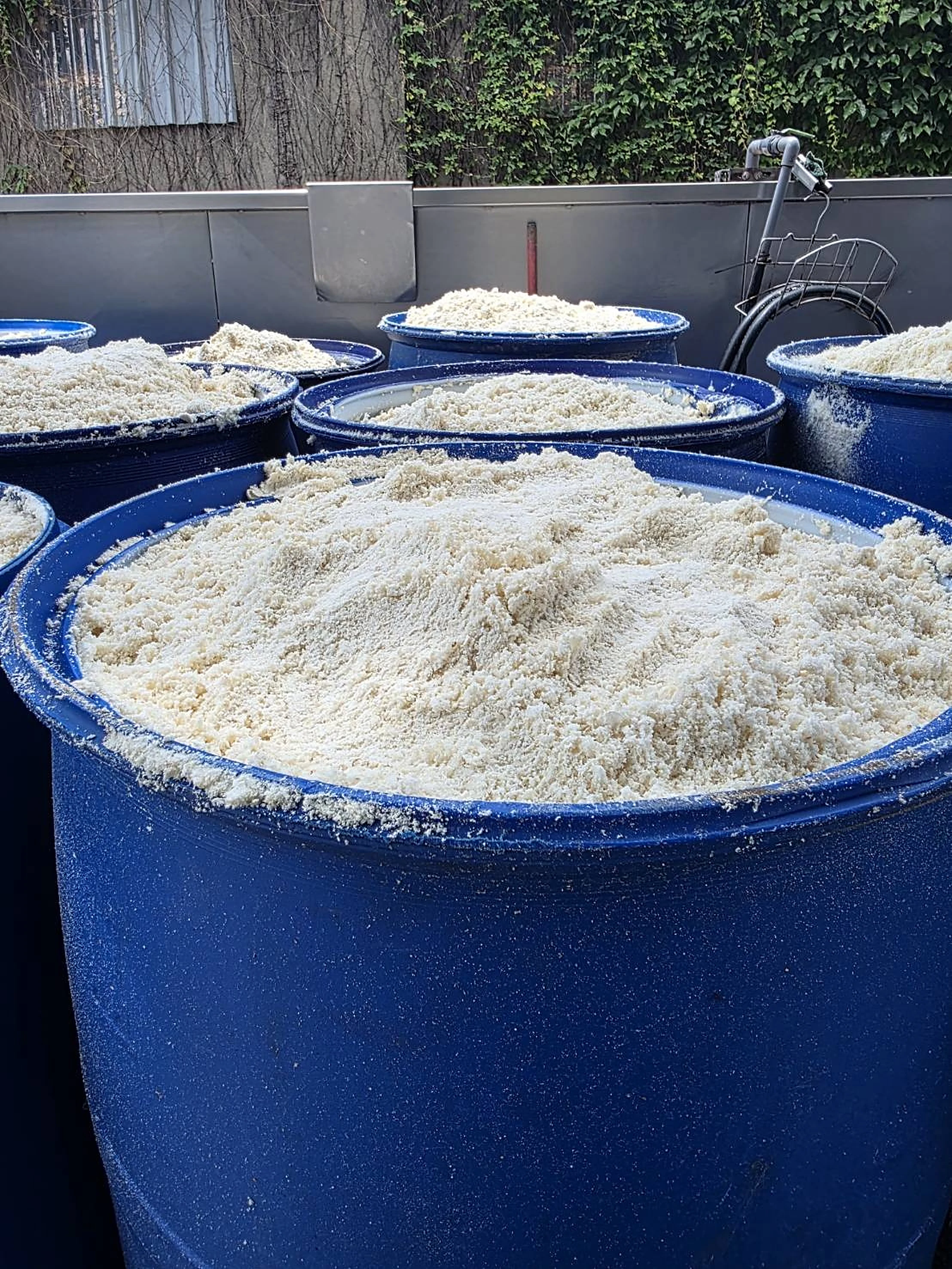 新鮮豆渣哪裡買？豆渣批發、取貨與配送指南
